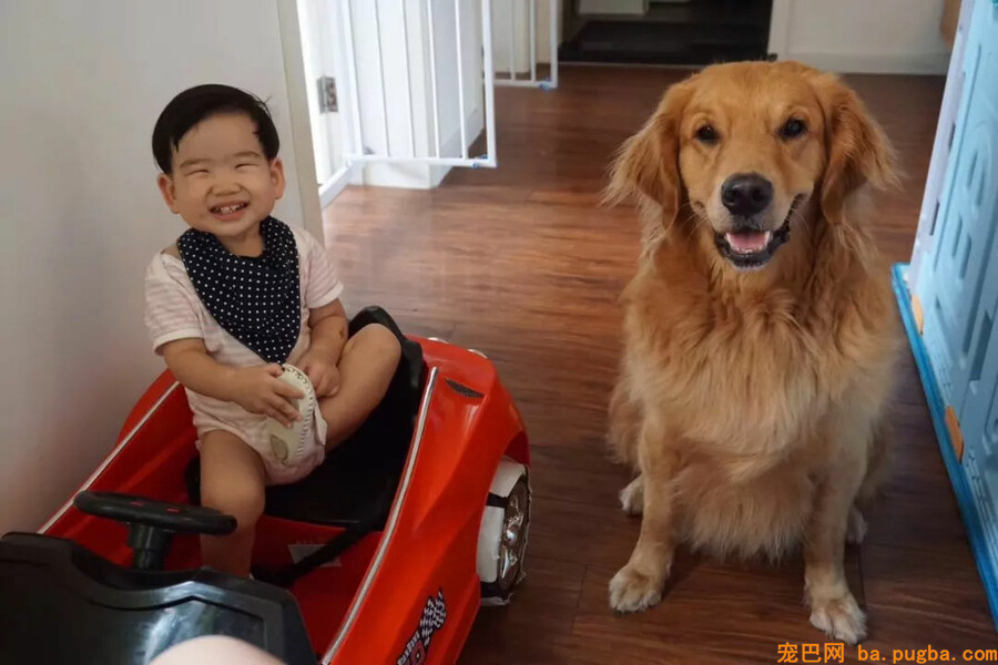小孩想养狗，你会同意吗？-13.jpg