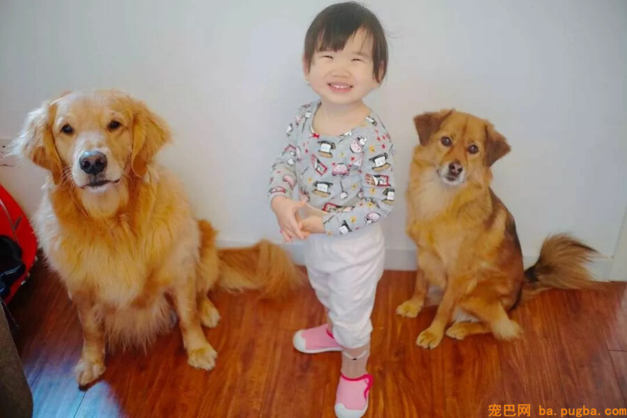 小孩想养狗，你会同意吗？-12.jpg