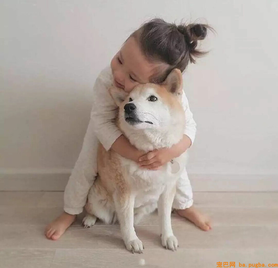 小孩想养狗，你会同意吗？-14.jpg