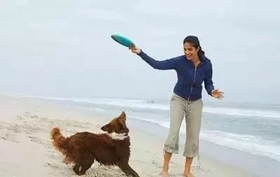 如何训练狗狗接飞盘-1.jpeg