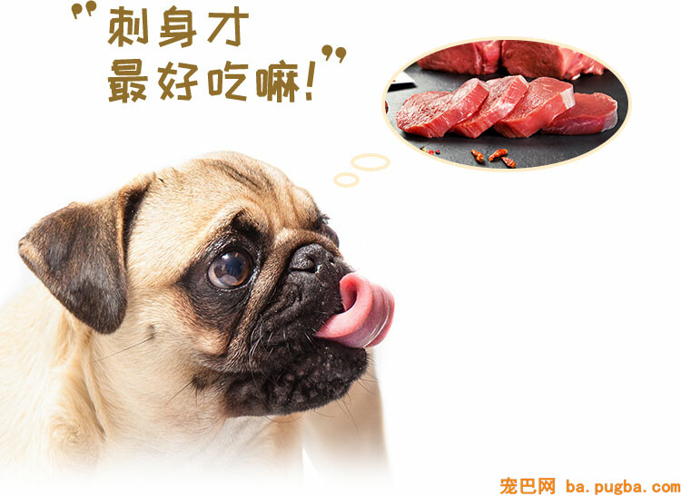 img_dog_class2_4.jpg