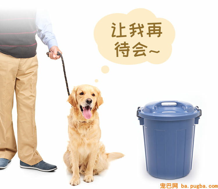 img_dog_class2_3.jpg