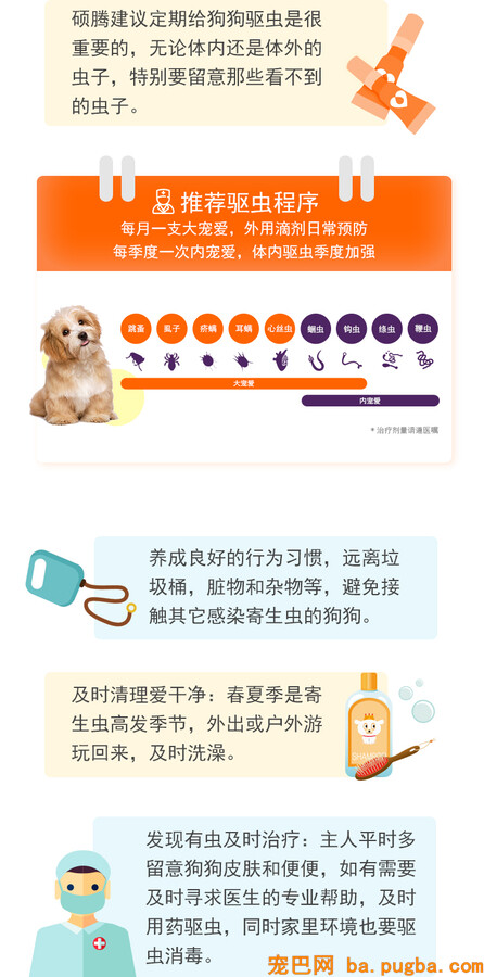 img_dog_class2_9.jpg