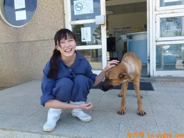 10岁老狗被装在垃圾袋扔到收留所门口，被发现时却还在对大家笑……-8.jpeg
