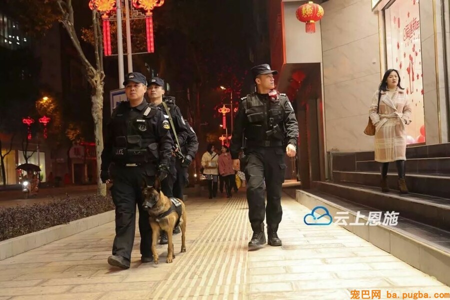 恩施民警和警犬共上街头，这才是人和狗狗感情的最好证明！-2.jpeg