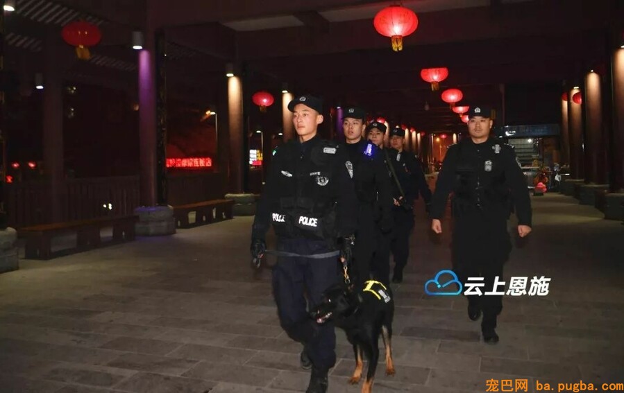 恩施民警和警犬共上街头，这才是人和狗狗感情的最好证明！-4.jpeg
