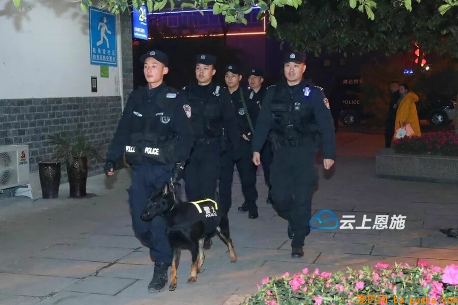 恩施民警和警犬共上街头，这才是人和狗狗感情的最好证明！-3.jpeg