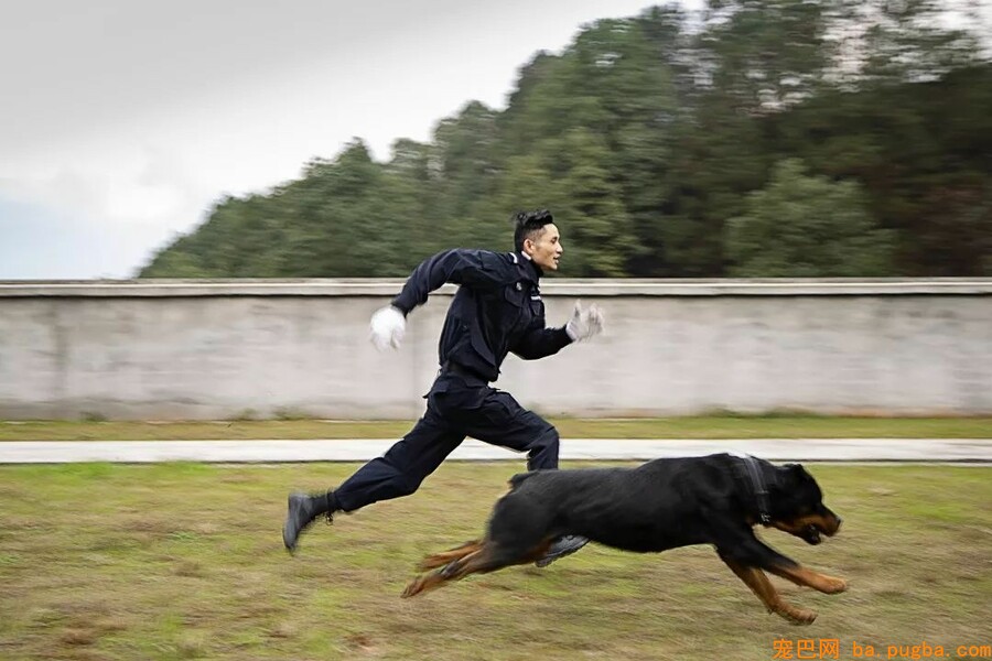 恩施民警和警犬共上街头，这才是人和狗狗感情的最好证明！-7.jpeg