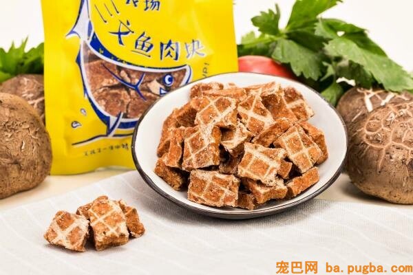 猫零食品种及特点，选择猫零食方法-1.jpeg