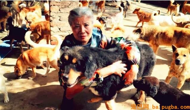 “救救这群沉的狗狗们”，面对强拆，几百条漂泊狗即将无家可归...-16.jpeg