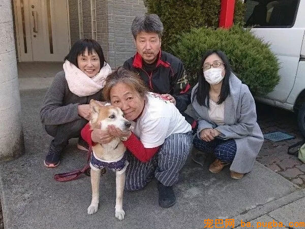 从地震中救出1400只狗狗的她，8年后重遇被救柴犬...-8.jpg
