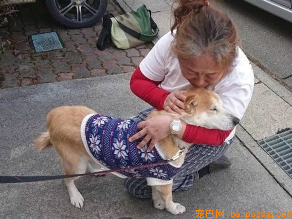 从地震中救出1400只狗狗的她，8年后重遇被救柴犬...-7.jpg