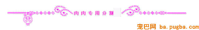狗狗疥螨怎么治疗，慎重狗狗疥螨病！-3.gif