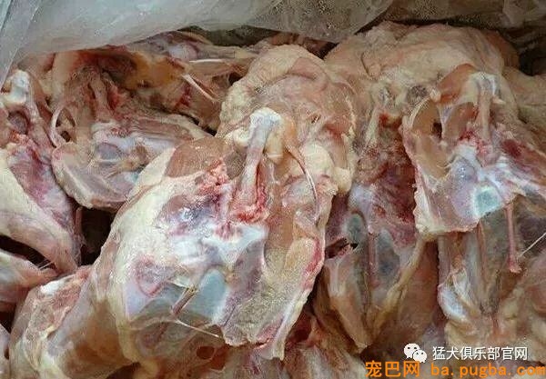 分享几种鸡架喂狗的做法-1.jpeg