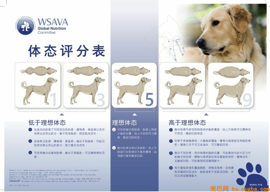 宠物零食营养学常识，怎么判断宠物的身体安康状态-2.jpeg