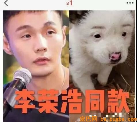 李荣浩同款狗砸又上热搜了，他哭笑不得：这狗怎么才值1块钱！-1.jpeg