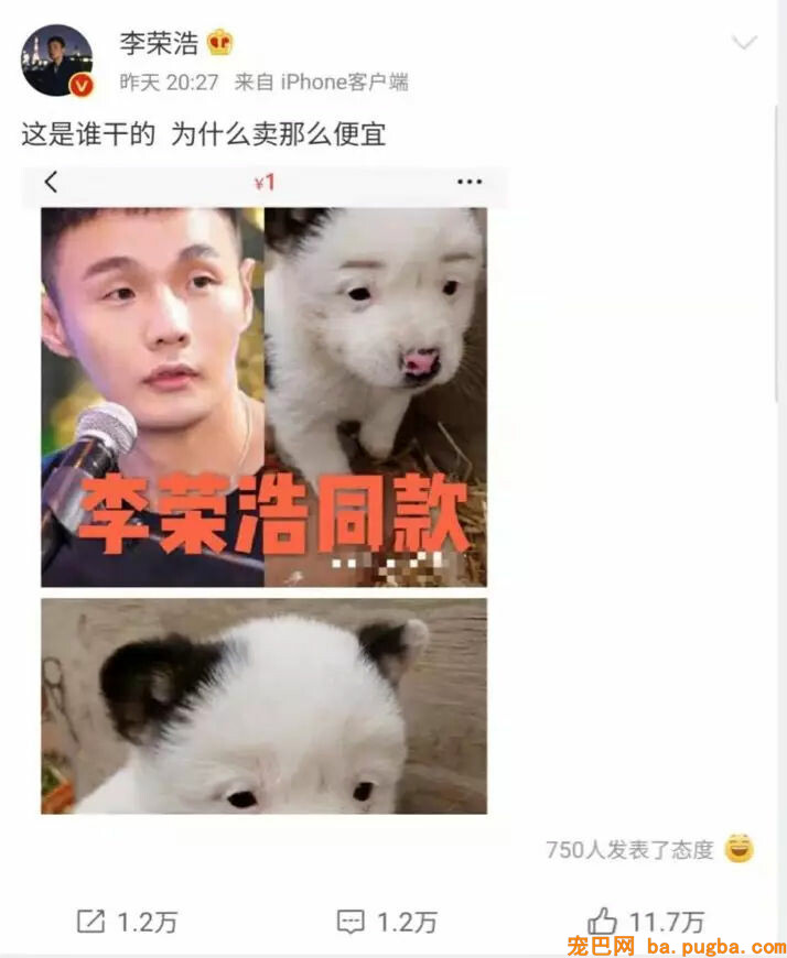 李荣浩同款狗砸又上热搜了，他哭笑不得：这狗怎么才值1块钱！-2.jpg