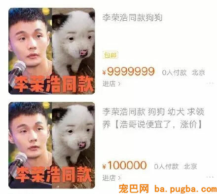 李荣浩同款狗砸又上热搜了，他哭笑不得：这狗怎么才值1块钱！-4.jpg