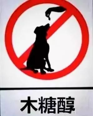 狗狗偷吃蛋糕后死亡，兽医：死因不是巧克力，而是木糖醇！-7.jpeg