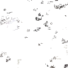 狗狗偷吃蛋糕后死亡，兽医：死因不是巧克力，而是木糖醇！-9.gif