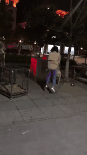 “什么人养什么狗”，这句话竟然有科学根据？-1.gif