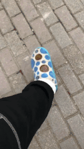 “什么人养什么狗”，这句话竟然有科学根据？-8.gif