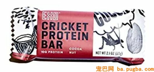 虫豸狗粮在英国上市，希望降低宠物食品消费的环境影响-1.jpeg