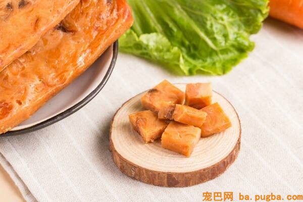 宠物猫训练方法，宠物猫零食保举-2.jpeg