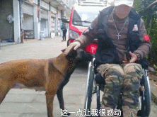 男子瘫痪后十年不愿出门，直到一只狗的呈现……-4.gif