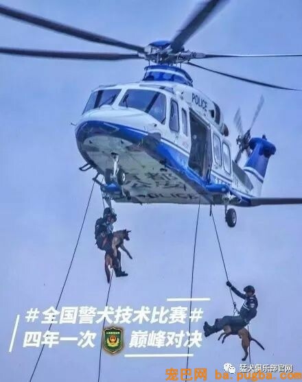 铁血战犬，尖峰对决！-5.jpeg