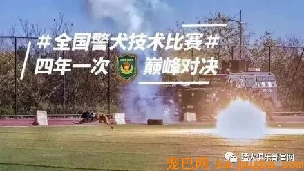 铁血战犬，尖峰对决！-3.jpeg