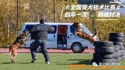 铁血战犬，尖峰对决！-4.jpeg