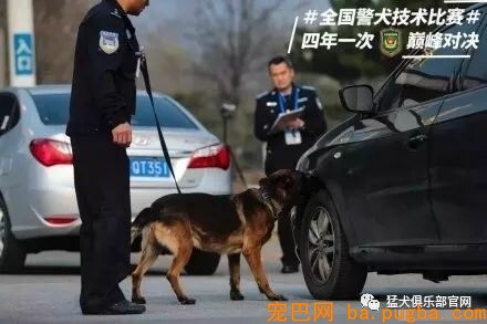 铁血战犬，尖峰对决！-8.jpeg