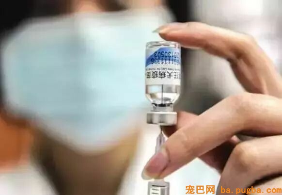 我在国外被狗咬伤，医生竟然回绝为我打狂犬疫苗？-6.jpeg
