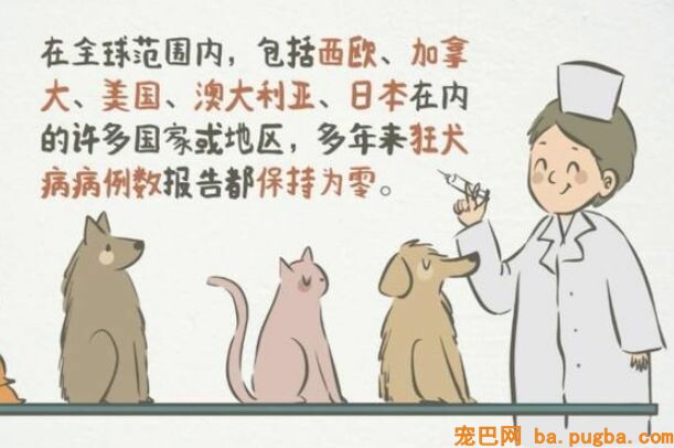 我在国外被狗咬伤，医生竟然回绝为我打狂犬疫苗？-4.jpeg