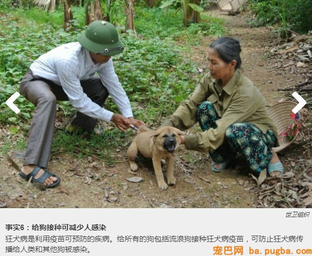 我在国外被狗咬伤，医生竟然回绝为我打狂犬疫苗？-7.jpeg