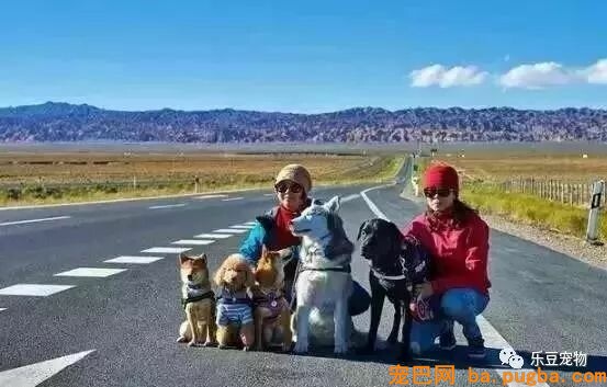 五只狗狗与主人结伴而行，共游西藏的画面，暖化人心……-5.jpeg