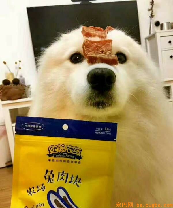 宠物猪皮零食做法，猪皮宠物零食长处-2.jpeg