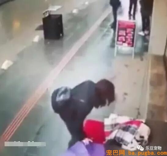 暖心：漂泊狗瑟缩街头 仁慈女子把本人的围巾送给狗狗保暖-4.jpeg