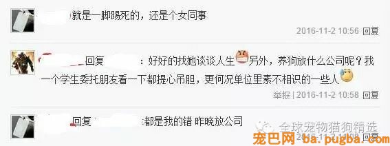 狗狗被一脚踹死，背后说法为何却两边倒？-2.jpeg