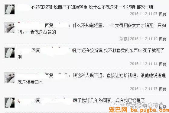 狗狗被一脚踹死，背后说法为何却两边倒？-3.jpeg