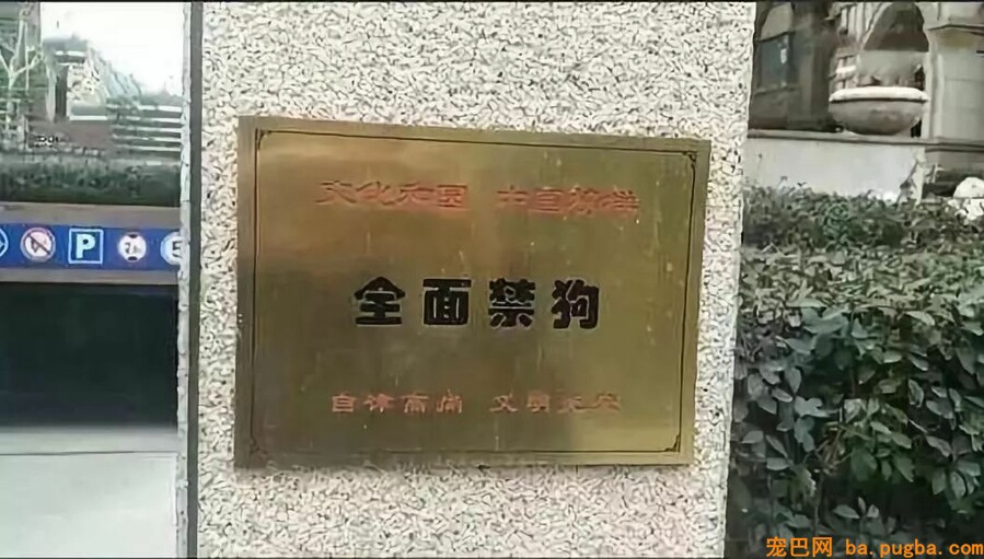 许诺不养狗才能购房！“无狗社区”来了，你怎么看？-1.jpeg
