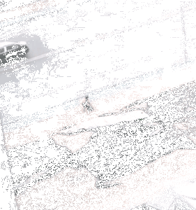 家长崩溃后，狗砸初步上手监视小主人写作业了...-8.gif