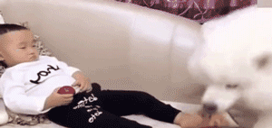 家长崩溃后，狗砸初步上手监视小主人写作业了...-16.gif