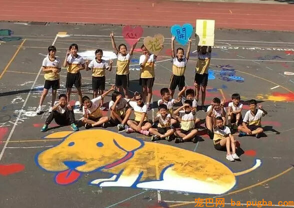 癌症漂泊狗痊愈归来！全校小朋友为它筹备了一个大大的惊喜...-3.jpg