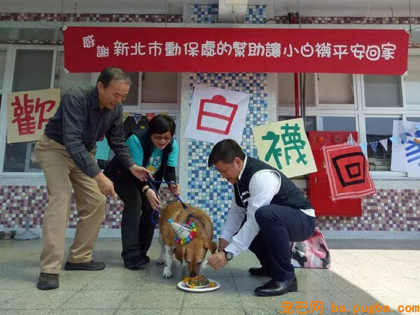 癌症漂泊狗痊愈归来！全校小朋友为它筹备了一个大大的惊喜...-7.jpg