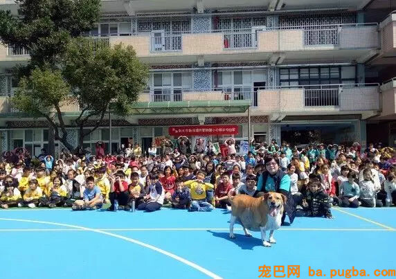 癌症漂泊狗痊愈归来！全校小朋友为它筹备了一个大大的惊喜...-10.jpg