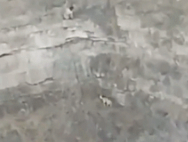 男子不顾一切冲进火场：它比命重要...-7.gif