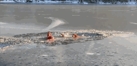 男子不顾一切冲进火场：它比命重要...-11.gif