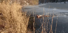 男子不顾一切冲进火场：它比命重要...-12.gif